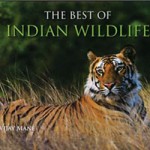 The Best of Indian Wildlife