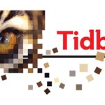 TIDBITS-November 2014