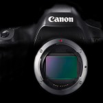 Canon Full Frame Mirrorless on the Cards?